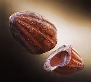 cabosse.png